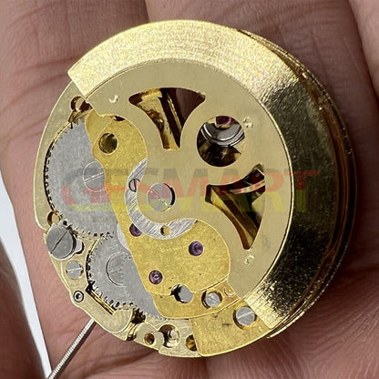 Hollow golden 26.5mm DANDONG 7120 automatic watch movement for precise mechanical timekeeping