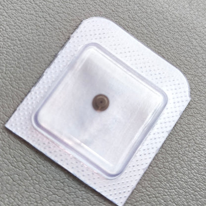 2 PIECES Replacement Plate Cap Jewel Generic for ETA 2836 2834 2824 Mechanical Movement