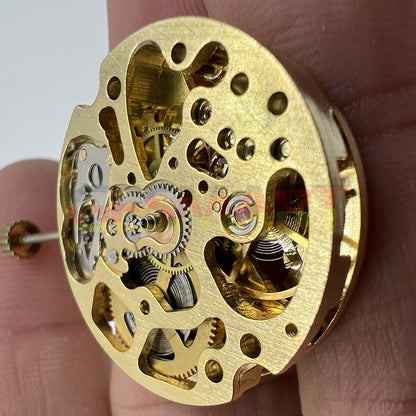 Hollow golden 26.5mm DANDONG 7120 automatic mechanical watch movement for precise timekeeping and durability