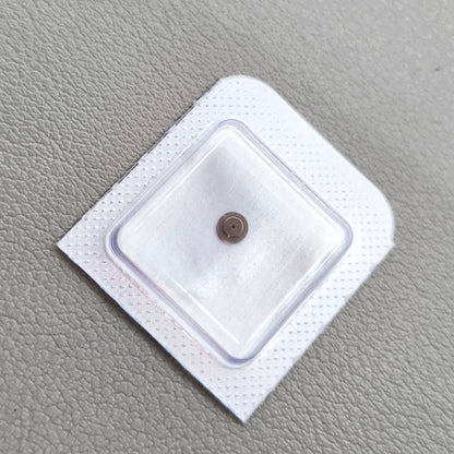 2 PIECES Replacement Plate Cap Jewel Generic for ETA 2836 2834 2824 Mechanical Movement