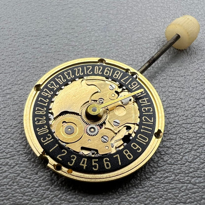Swiss ETA 256.041 quartz watch movement with black disk, 2 hands, and date at 6, precise timekeeping.