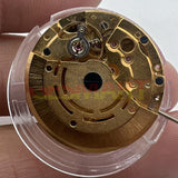 DG2813 Automatic Mechanical Movement 3 Hands Golden MINGZHU 2813