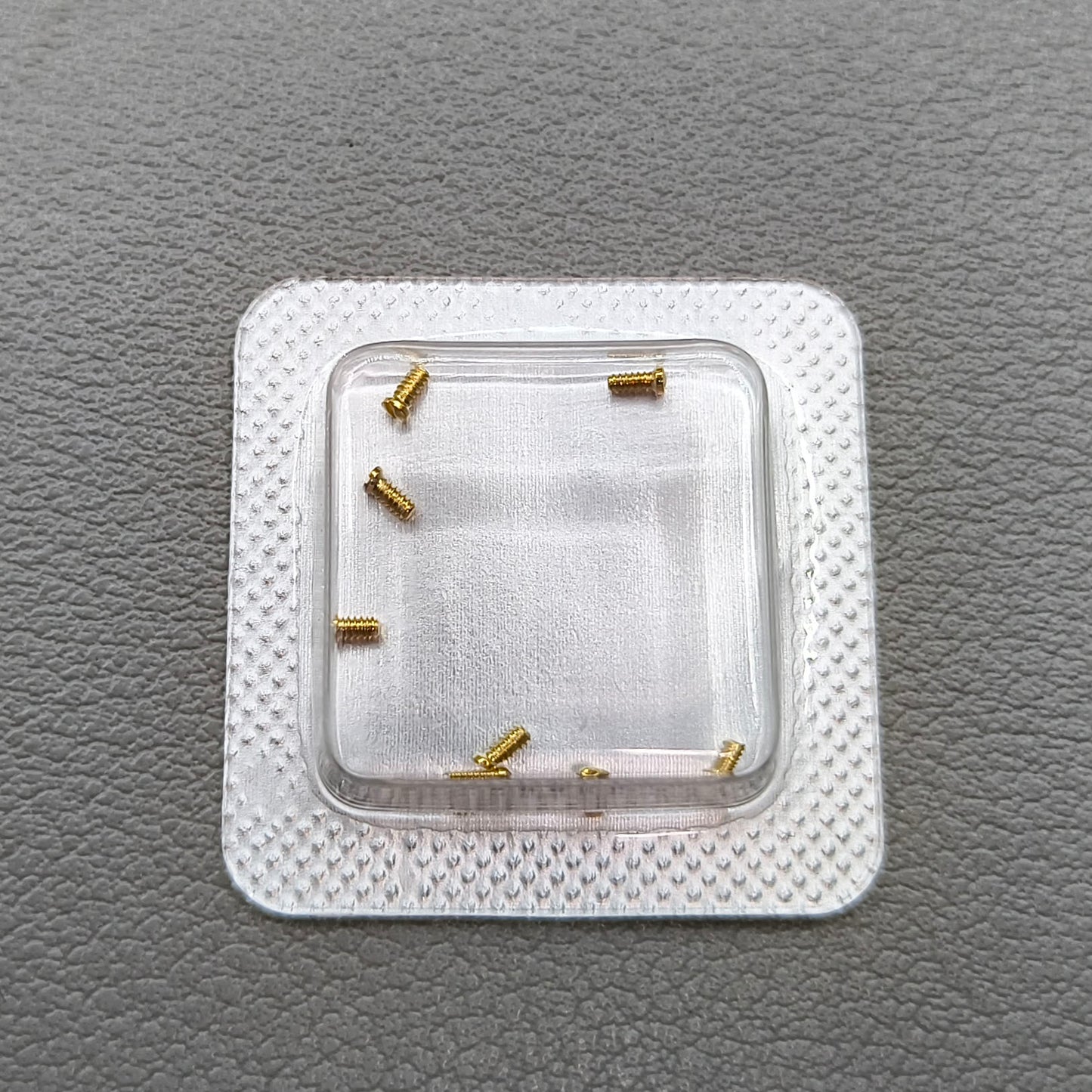 Women 2.5x1mm Watch Back Cover Screws Slotted Golden Screws for Cartier Watches