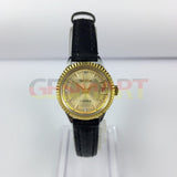 23mm HAIDA Manual Mechanical Lady Watch Golden Nail 17 Jews Round Golden Case