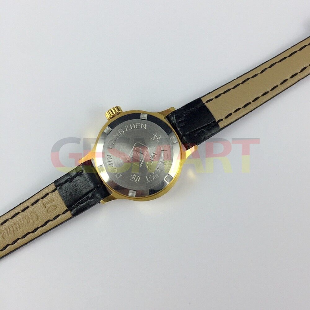 HAIDA Lady Watch 24mm with golden oval case, mechanical movement, and elegant golden nail accents.