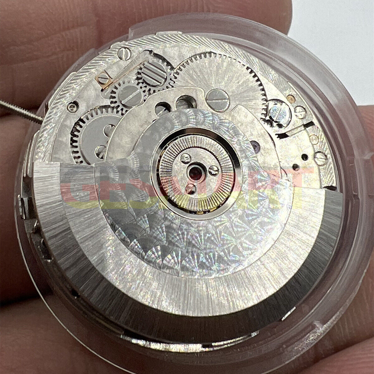 Tianjin Seagull ST2525 watch with big date at 12, automatic movement, elegant dial design for classic style.